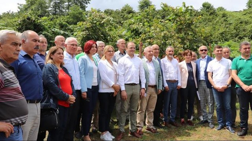 CHP&rsquo;den fındık bah&ccedil;esinde okus pokus a&ccedil;ıklaması