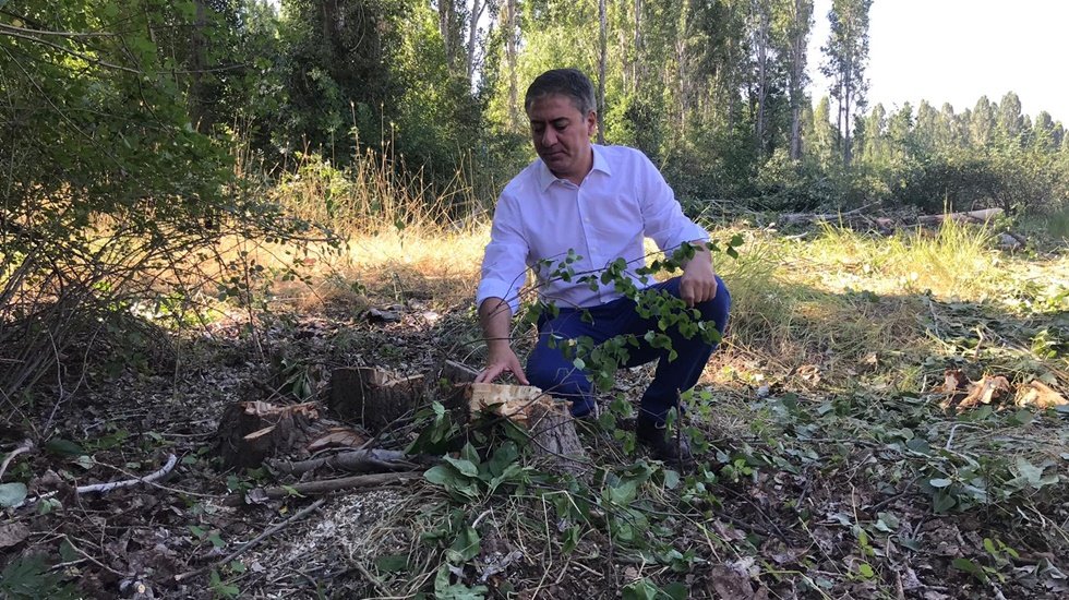 CHP&rsquo;li Emir&rsquo;den ODT&Uuml; a&ccedil;ıklaması: &ldquo;İzinsiz ağa&ccedil; kesenler 3 aydan 5 yıla kadar hapis cezası alır&rdquo;