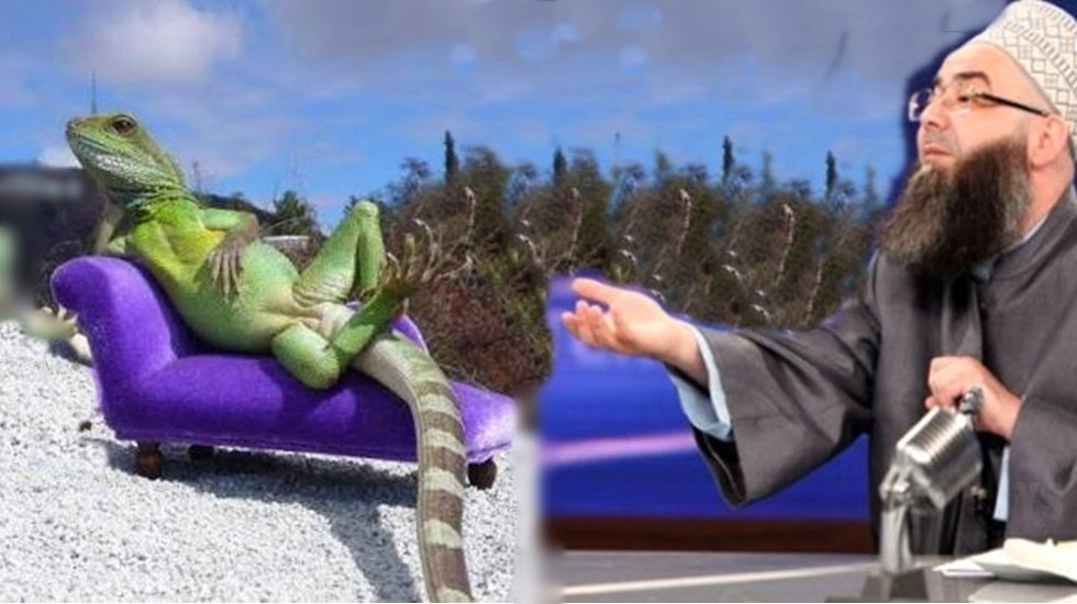 CHP&rsquo;li Tanal&rsquo;dan, C&uuml;bbeli&rsquo;nin &lsquo;Kertenkele Fetvası&rsquo;na sert tepki!