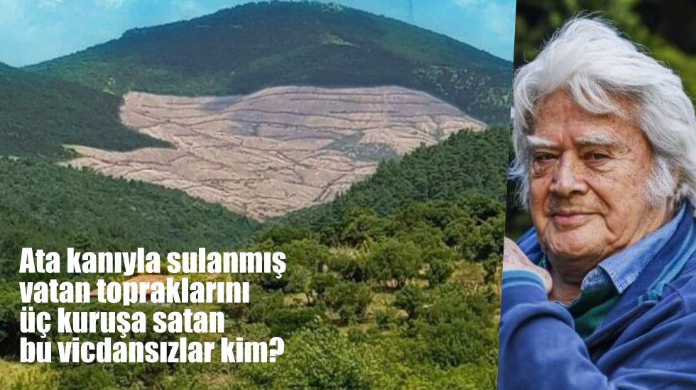 C&uuml;neyt Arkın'dan Kaz Dağları tepkisi
