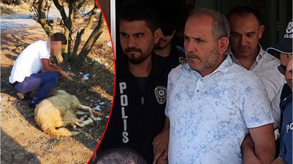 Hamile kadının bulunduğu araca saldıran kardeşler cezaevi &ouml;n&uuml;nde kurban kestirdi