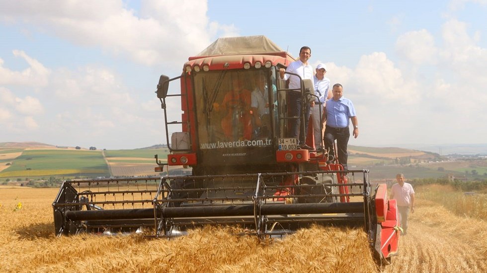 İmamoğlu ve Akgün hasat şenliğine katıldı