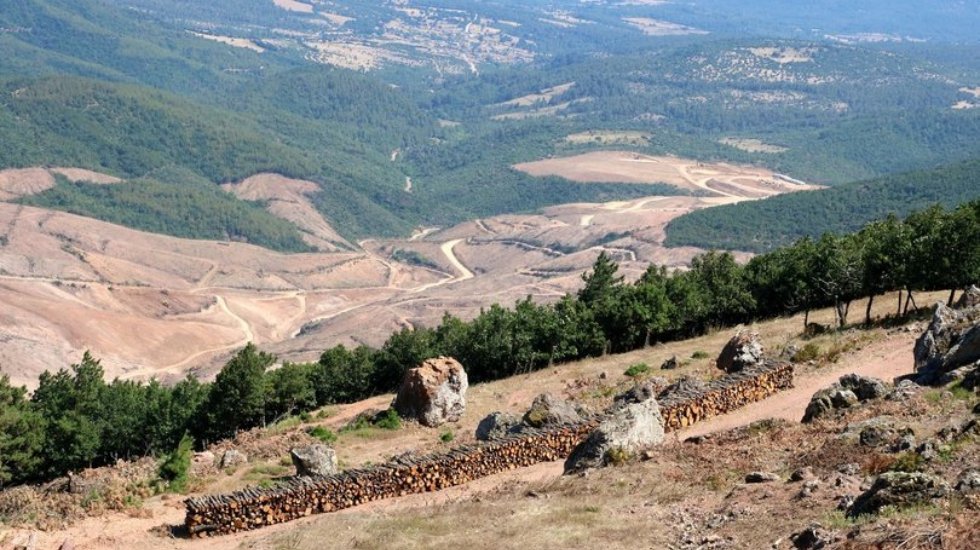 Kazdağları'nı talan eden altın madeninin Türk müdürüne yanıt…
