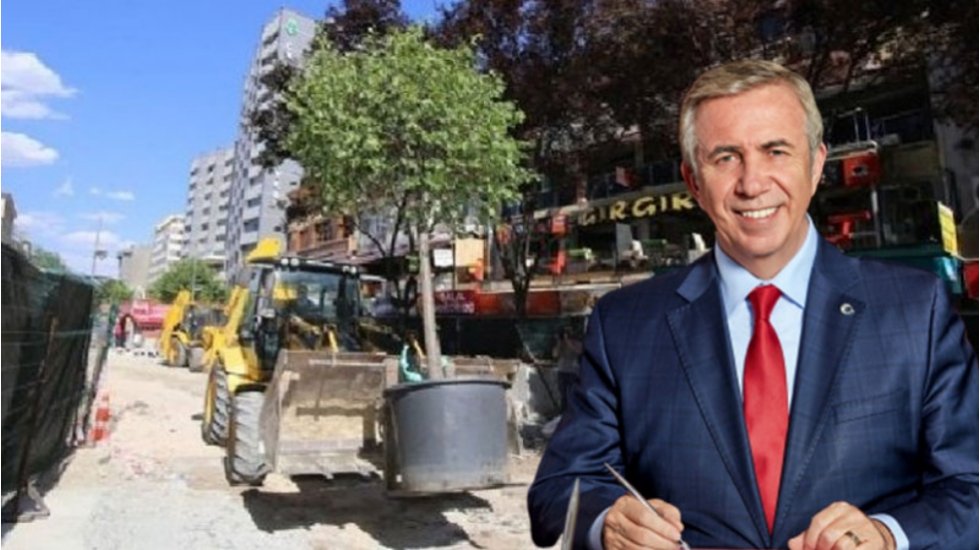 Mansur Yavaş verdiği s&ouml;z&uuml; tuttu: O ağa&ccedil;lar Kızılay'a dikildi