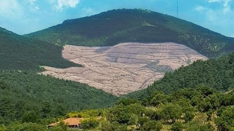 TEMA'dan 100 bin imza: Siyan&uuml;rl&uuml; altın madenini durdurun!