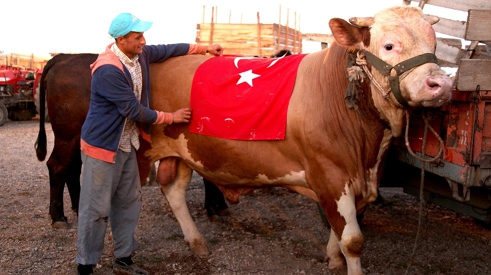 1 bu&ccedil;uk tonluk 'S-400 ka&ccedil; liraya satıldı?
