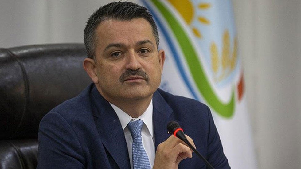 CHP'li &Ouml;ztun&ccedil;: "Anayasa ormanları koru diyor, sat demiyor"