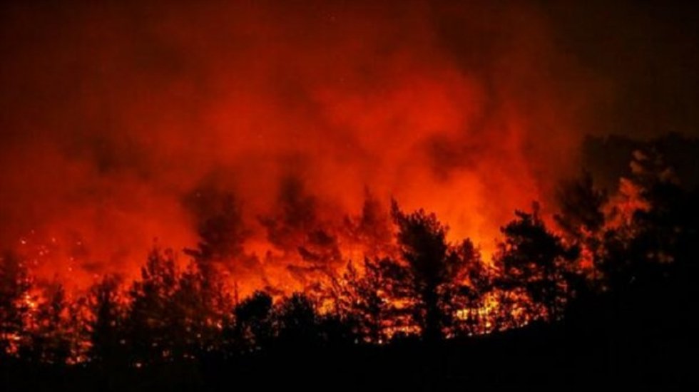 1,5 yılda 3 bin 720 orman yangını meydana geldi