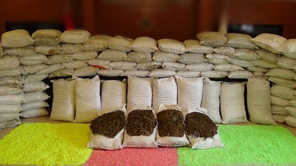 İlgin&ccedil; teklif: 'Rusya'ya uyuşturucu satalım'