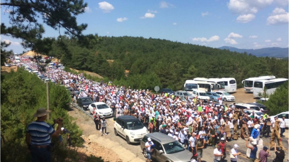 Turan Hançerli'den Kaz Dağları’ndaki doğa katliamına tepki