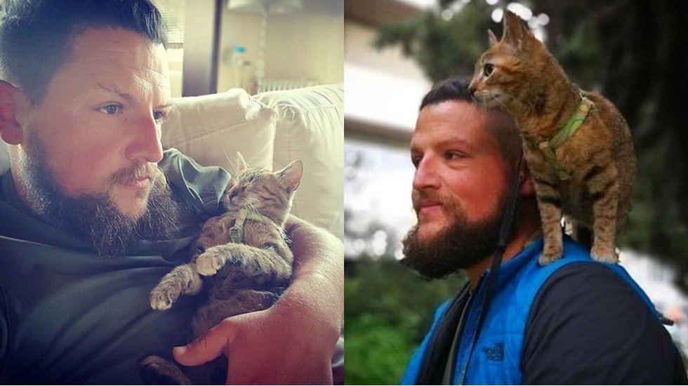 &Ouml;lmek &uuml;zereyken bulduğu kediyle d&uuml;nyayı geziyor