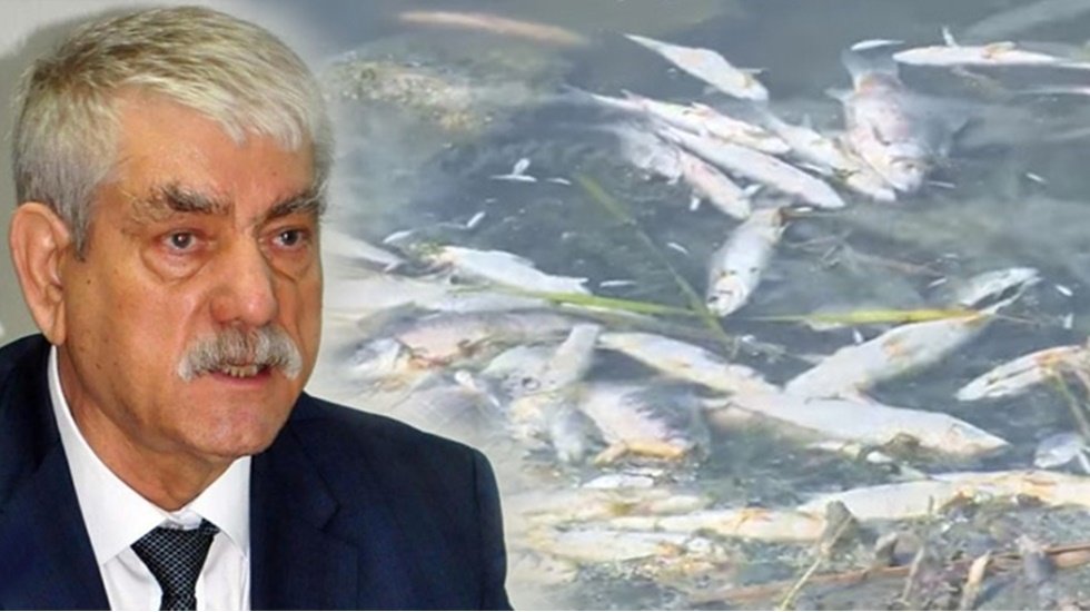 Beko: Çevre katliamına karşı hep birlikte mücadele edeceğiz!