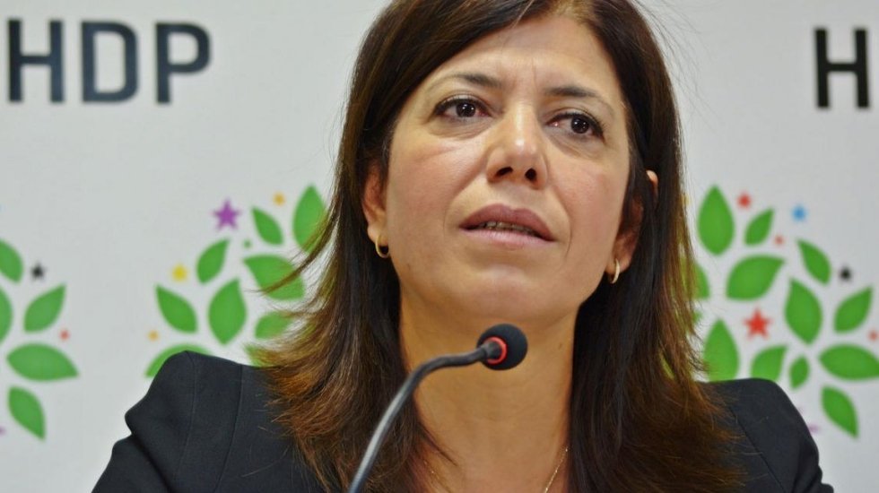 HDP: O &ccedil;ocukları biz de istiyoruz