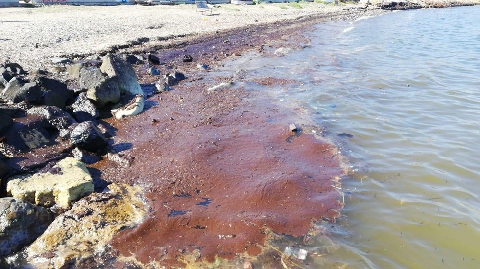 &ldquo;İzmir&rsquo;de sahile fueloil vurdu&rdquo;