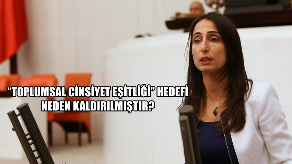 &lsquo;Toplumsal Cinsiyet Eşitliği&rsquo; ibaresi y&uuml;r&uuml;rl&uuml;kten neden kaldırıldı?