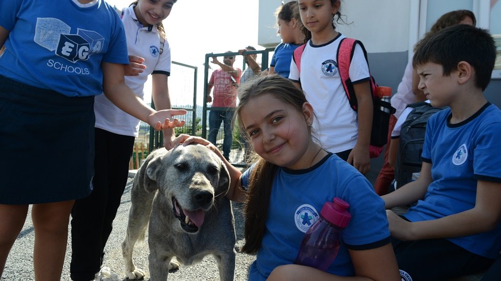 Beylikd&uuml;z&uuml; Belediyesi &ldquo;Satin Alma, Sahiplen&rdquo;