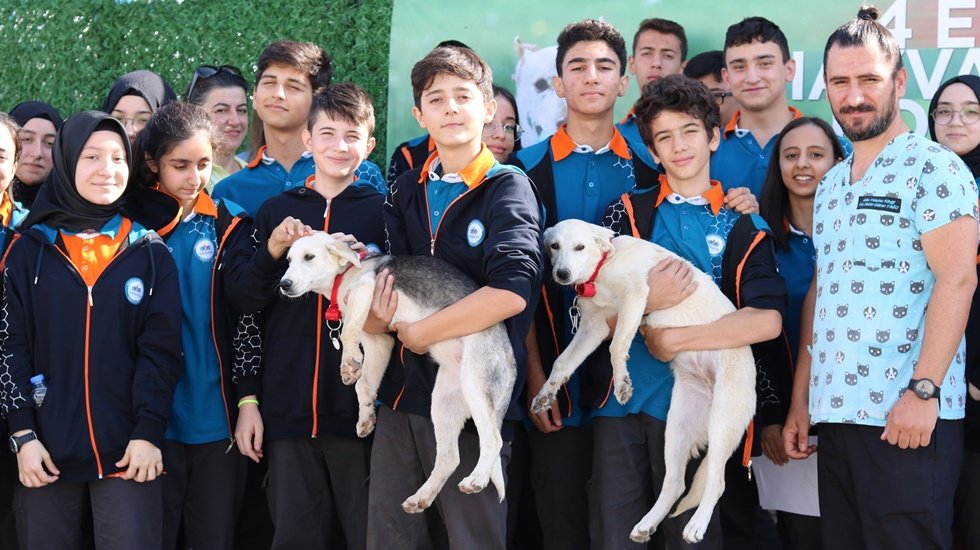 GEBKİM OSB 98 sokak köpeğinin bakımını üstleniyor