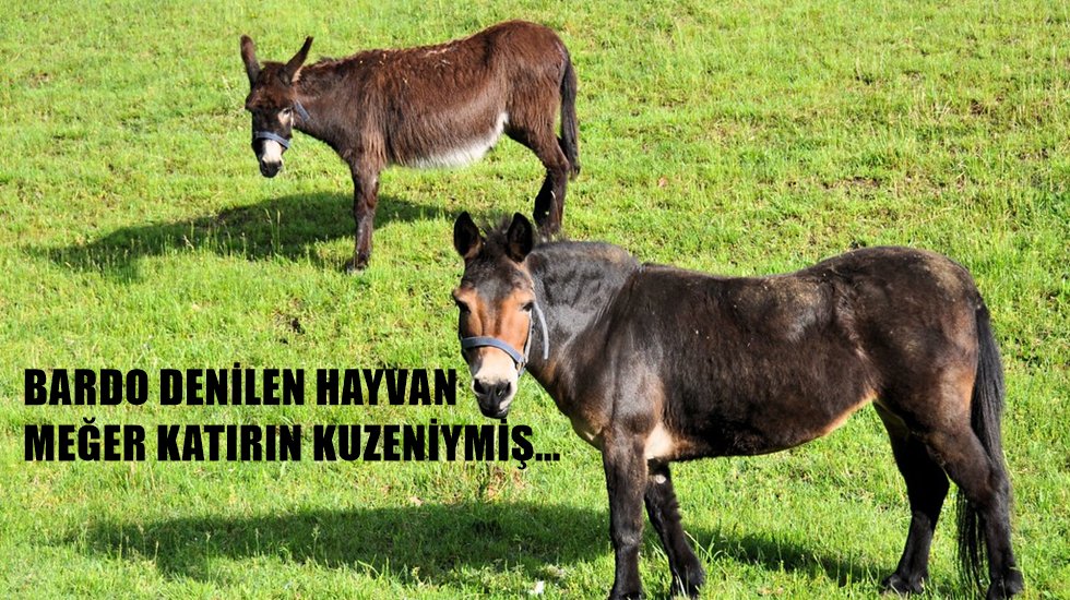 G&uuml;rer, &lsquo;İthal &uuml;r&uuml;nlerle vurgun yapanları&rsquo; sordu