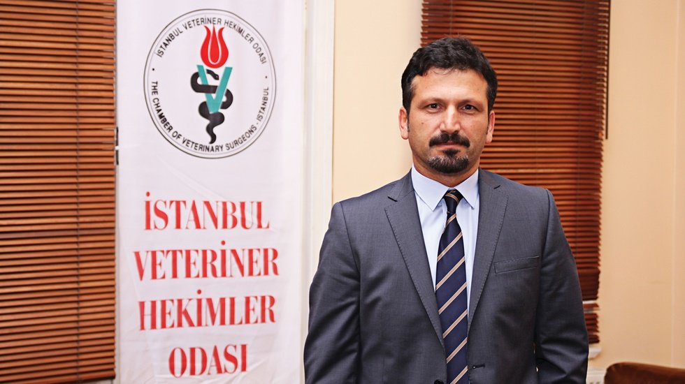 Kaplumbağalar gide gide &ouml;m&uuml;r t&uuml;ketti