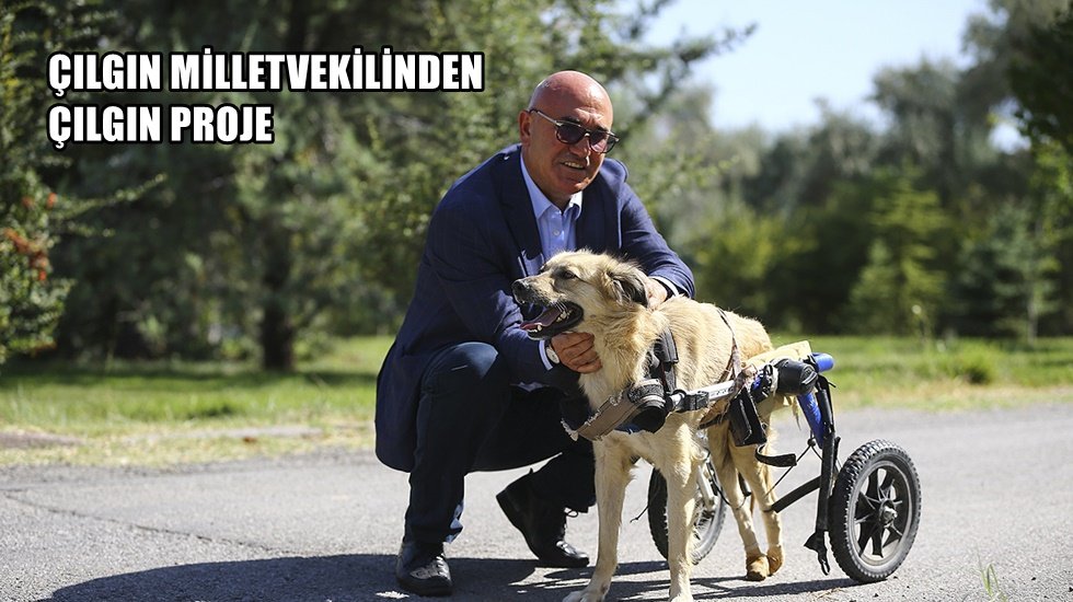 Tanal'dan &lsquo;Yatılı Hayvan Hastanesi&rsquo; &ouml;nerisi