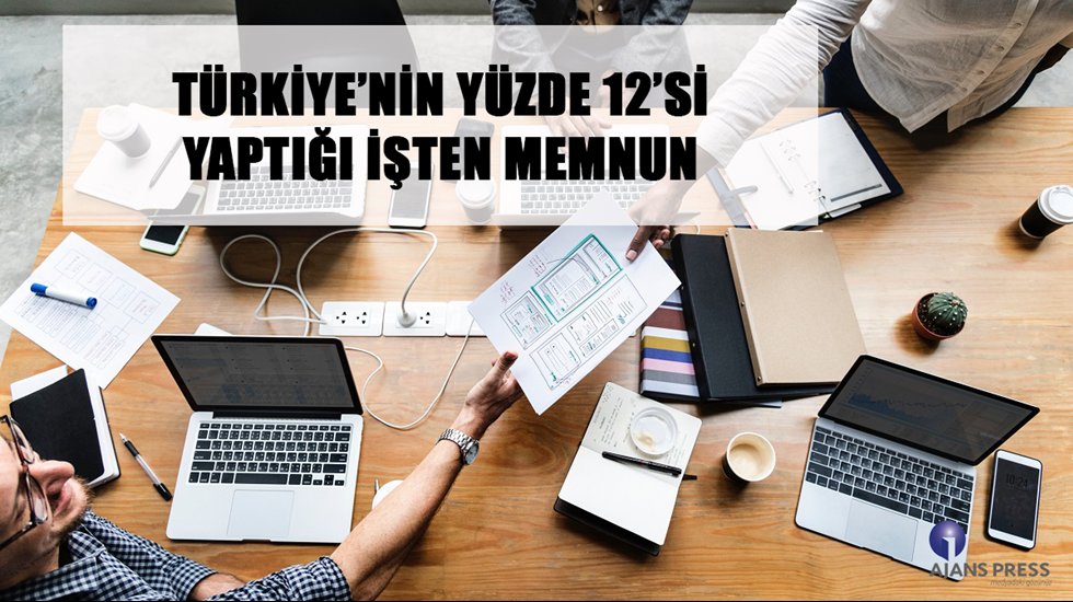 Türkiye’nin yüzde 12’si yaptığı işten memnun