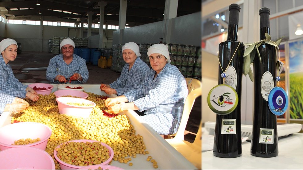 Zeytin ve Zeytinyağı ihracat&ccedil;ıları kendilerine ve &uuml;reticilere desteklerin arttırılmasını istedi