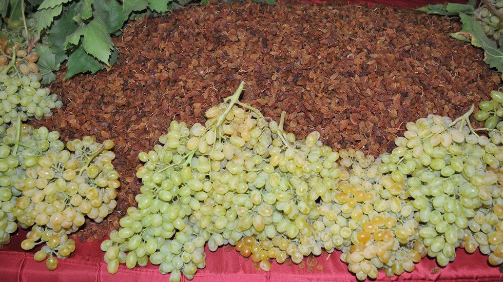 Ge&ccedil;en sene 25 liraya mal edilen kuru &uuml;z&uuml;m&uuml;n bu seneki maliyeti 50 lira