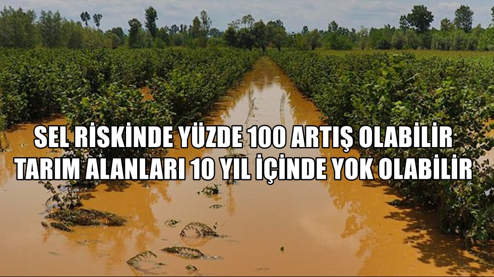 Uzmandan korkutan uyarı!
