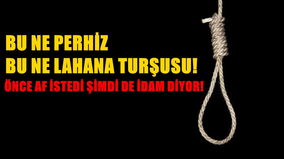 Affı geri &ccedil;eken MHP bu kez de idam istedi