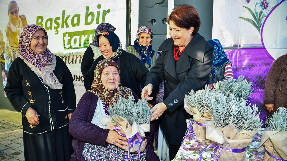 B&uuml;y&uuml;kşehir 32 bin lavanta fidesi dağıttı