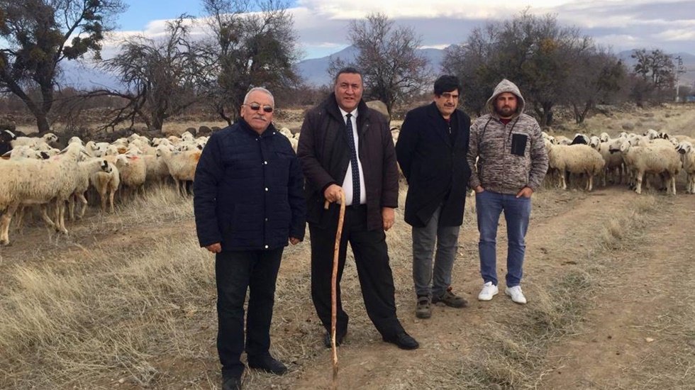 &Ccedil;ift&ccedil;iye 300 koyun projesinde &ldquo;dağ fare doğurdu&rdquo;