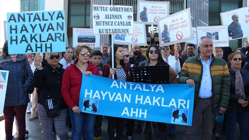 Hayvan ölümleriyle ilgili belediyeden açıklama: “Sabotaj şüphesi üzerinde duruluyor”