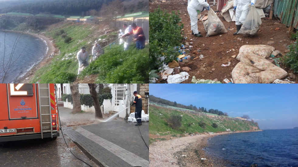 https://yenisoluk.com/uploads/2020/01/adalar 4