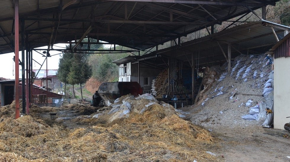 Belediyeden yangın mağdur vatandaşa yardım