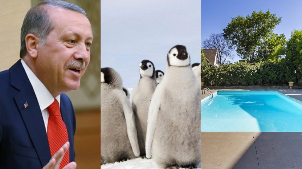 Erdoğan'ın 10 Ocak gazeteciler g&uuml;n&uuml; mesajı tebess&uuml;m ettirdi: &Ccedil;ok sesli, kısıtlamaya maruz kalmadan...