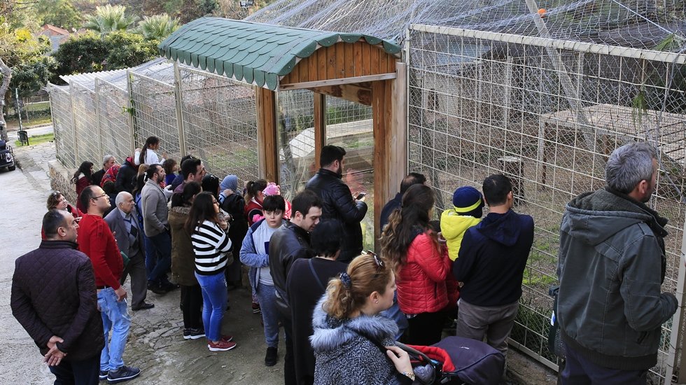 Hayvanat Bahçesi'ne ziyaretçi akını
