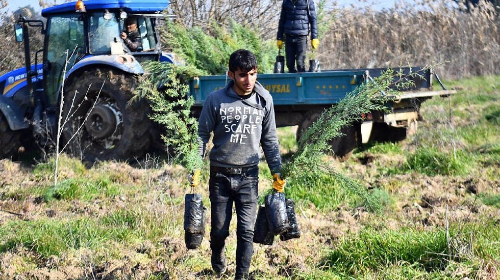 İZSU&rsquo;dan Tahtalı Havzası&rsquo;na 1 milyon 109 bin fidan