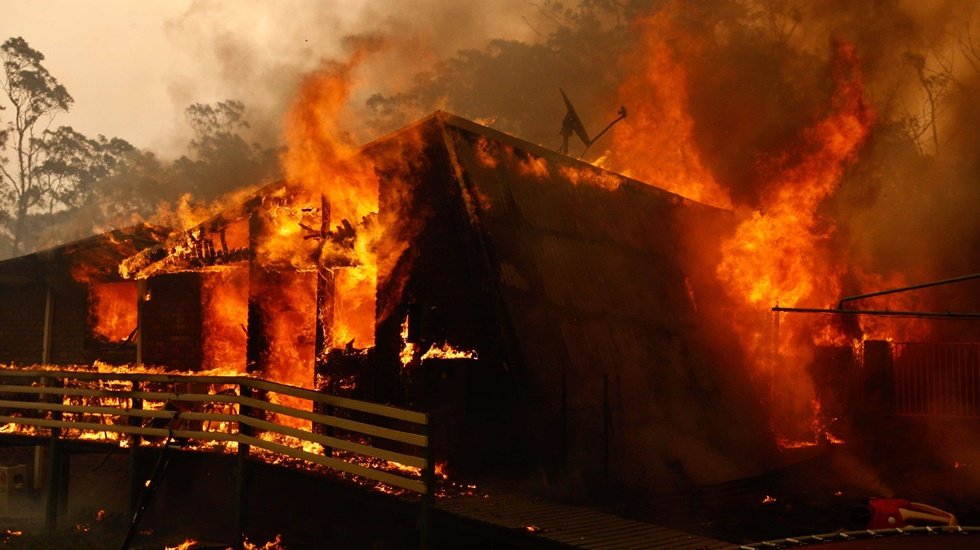 O &uuml;lkede ormanlar yanıyor insanlar &ouml;l&uuml;yor