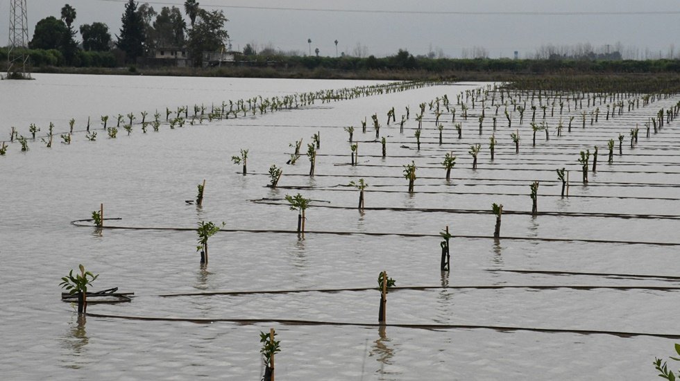 Rekor d&uuml;zeyde yağış alana Adana&rsquo;da &uuml;reteci zorda!