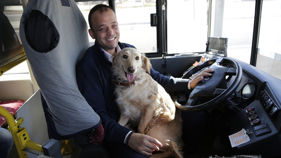 Soğuk havada otobüse sığınan sevimli köpek yolcularla şehir turu attı
