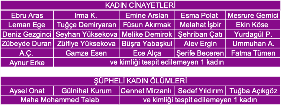 https://yenisoluk.com/uploads/2020/02/kadın cinayetleri 2