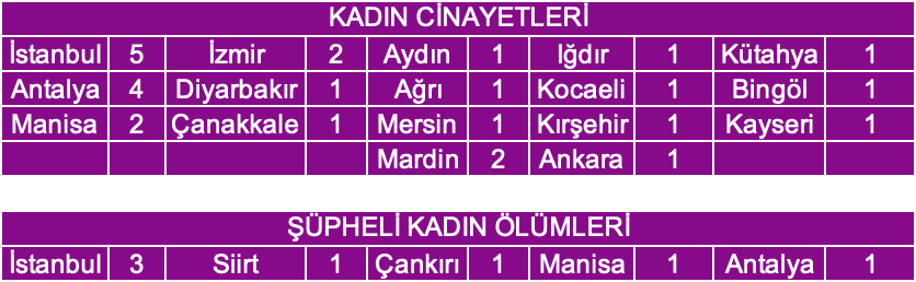 https://yenisoluk.com/uploads/2020/02/kadın cinayetleri