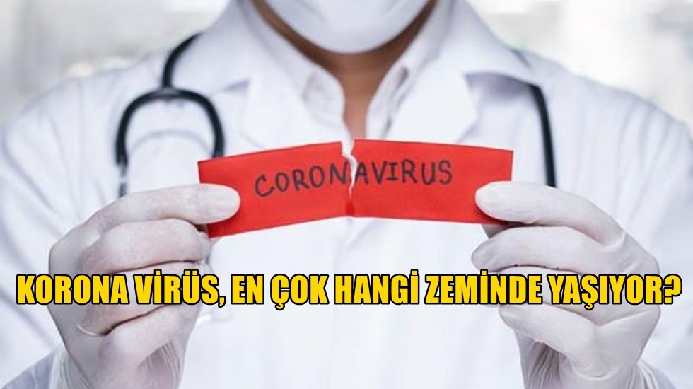 Buralara dokunmayın vir&uuml;se yakalanmayın