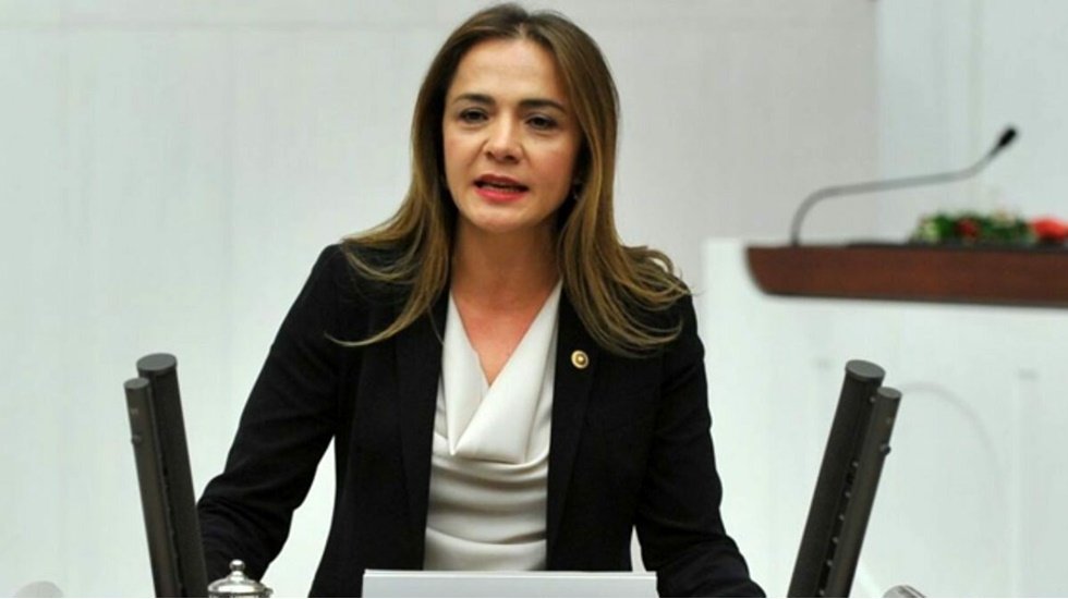 CHP'li İlgezdi: Veteriner hekimler &lsquo;Sağlıkta Şiddet Yasası&rsquo;na dahil edilmeli&hellip;
