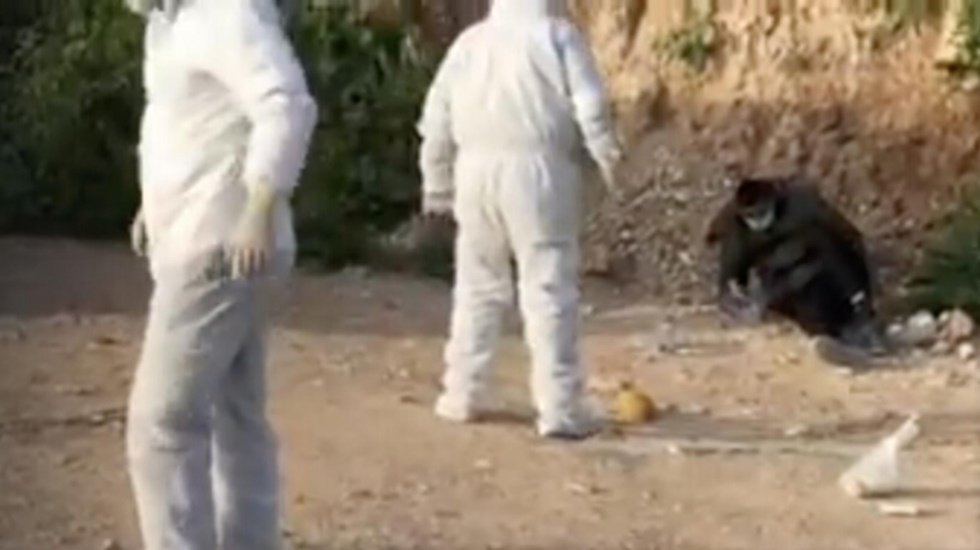 İsrail'de vir&uuml;s belirtisi g&ouml;steren Filistinli iş&ccedil;i &ccedil;&ouml;p gibi kontrol noktasına 'atıldı'