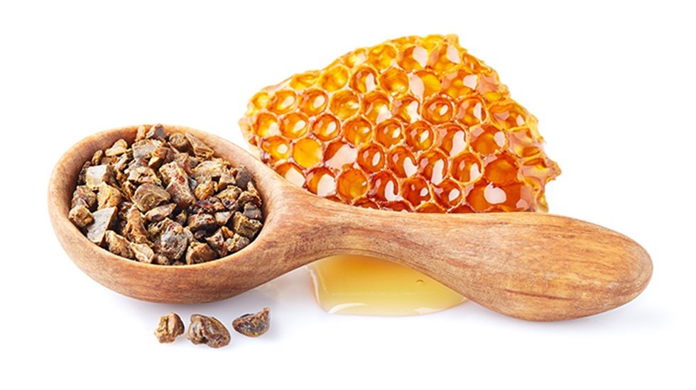 Propolis nedir? Propolis faydaları nelerdir?