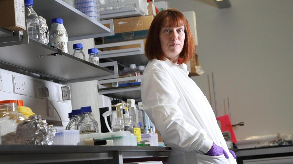 Aşı Bilimi Uzmanı: Koronavir&uuml;s aşısının Eyl&uuml;l ayında hazır olacağından eminim