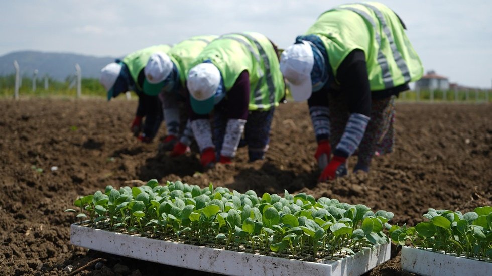Ayvalık&rsquo;da &ldquo;Tarım Seferberliği&rdquo;