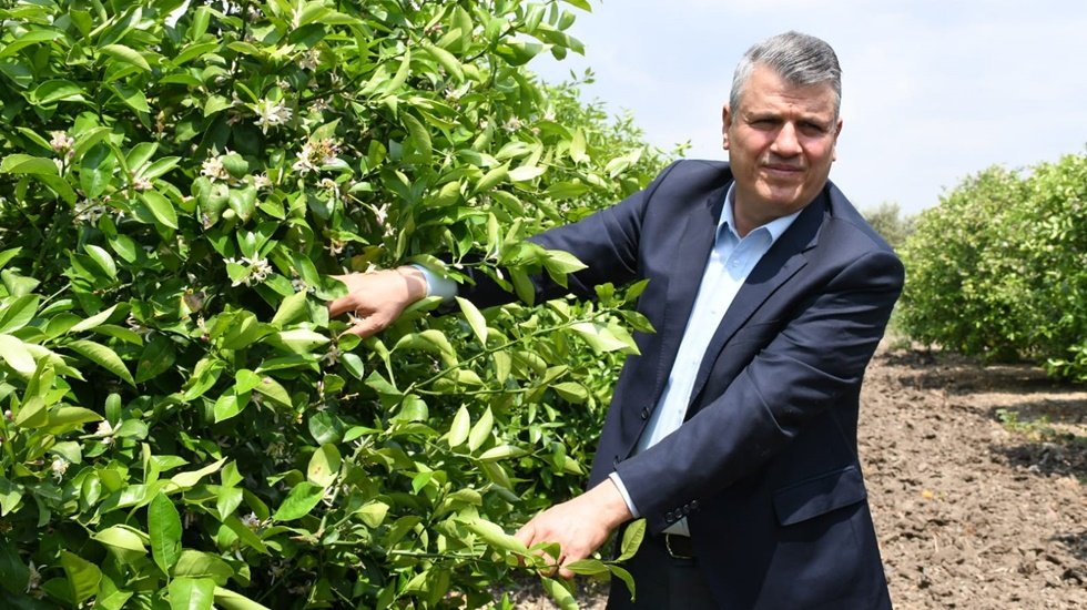 Barut: "&Uuml;reticiyi perişan ettikten sonra ihracat yasağını kaldırdılar"