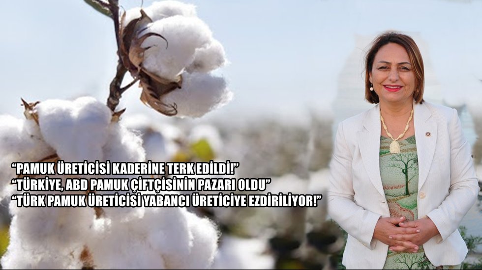 CHP'li Şevkin: &ldquo;T&uuml;rk pamuk &uuml;reticisi &ccedil;alışıyor, Amerikan &ccedil;ift&ccedil;isi kazanıyor&rdquo;